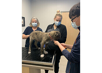 Aurora Cliniques Vétérinaires Aurora Animal Clinic