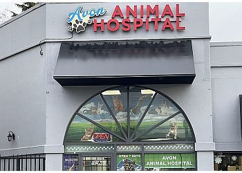 Surrey veterinary clinic Avon Animal Hospital image 1