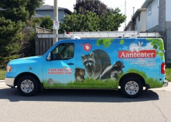 Aanteater Pest Control and Wildlife Services Inc. Aanteater Pest Control and Wildlife Services Inc.