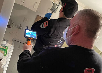 Trois Rivieres Services d'extermination de parasites Abat Extermination