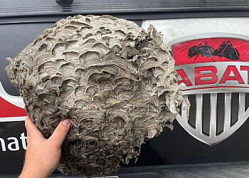 Drummondville pest control Abat Extermination Drummondville