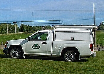 3 Best Pest Control In Orangeville On Expert Recommendations