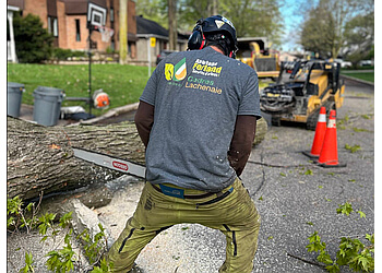 Terrebonne Services d'arboriculteur Abattage Ferland