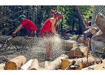 Saint Jerome tree service Abattage et Émondage Jonathan Desjardins Inc.