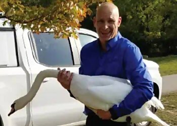 Sudbury Services d'extermination de parasites Abell Pest Control