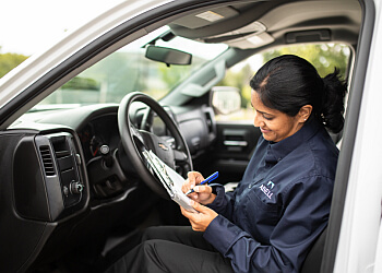 Barrie pest control Abell Pest Control Barrie