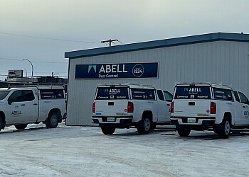 Barrie pest control Abell Pest Control-Barrie image 1