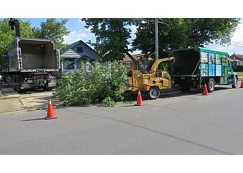 Whitby tree service Able Tree Service Inc.