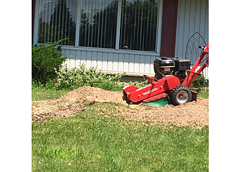 Oshawa tree service About The Cut Tree Service