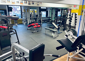 St Catharines gym Absolute Body Solutions St Catharines