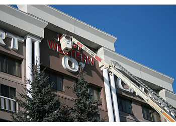 Calgary animal removal Absolute Pest Control