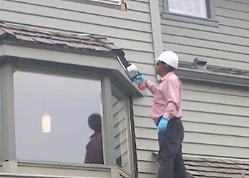 Absolute Pest Control Services Inc. - Calgary, AB Animal Removal - Service Image