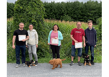 Saint Hyacinthe Dresseurs De Chiens Académie Canine RM