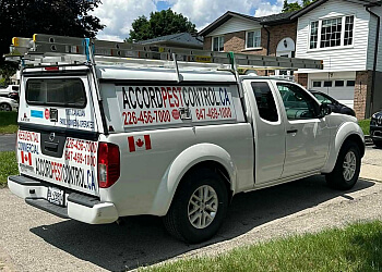 Kitchener pest control Accord Pest Control Kitchener image 1