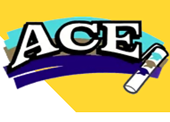 Ace Painting - Belleville, ON Painters - Company Logo