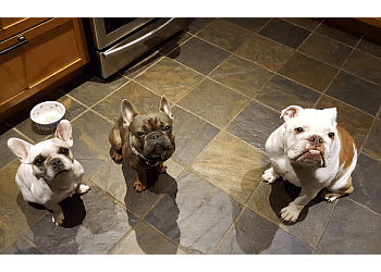 Maple Ridge dog trainer Action K9