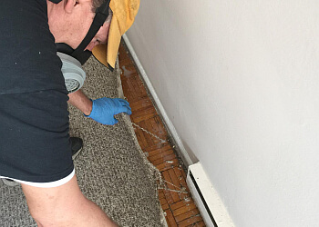 Hamilton pest control Action Pest Control Services Inc.