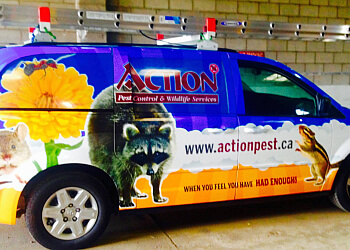 Hamilton pest control Action Pest Control Services image 1