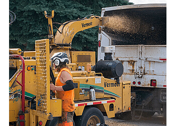 Kelowna Services d'arboriculteur Action Tree Service