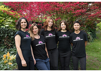 Toronto Acupuncture Acupuncture Center Toronto