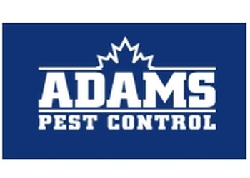 3 Best Pest Control in Moncton, NB - Expert Recommendations