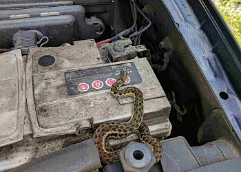 Fredericton pest control Adams Pest Control Fredericton