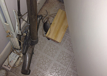 Fredericton pest control Adams Pest Control Fredericton