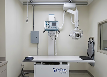 Adeline Animal Hospital - Moncton, NB Cliniques Vétérinaires - Medical Procedure Image
