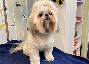 Dollard des Ormeaux Salons de Toilettage Pour Animaux De Compagnie Adorable Animal Inc.