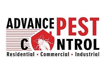 Abbotsford animal removal Advance Pest Control Inc.