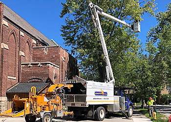 Aurora Services d'arboriculteur Advanced Tree Care