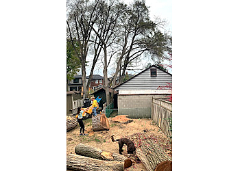 Aurora Services d'arboriculteur Advanced Tree Care