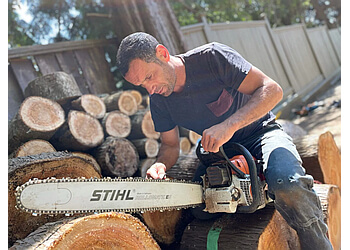 Vancouver Services d'arboriculteur Aesthetic Tree & Hedge Services Vancouver