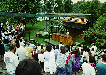 African Lion Safari - Cambridge, ON Places To See - Activity Image
