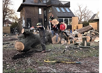 Aftermath Tree Care