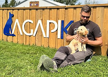 Orangeville dog trainer AgapiK9