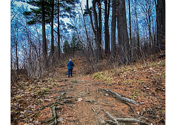 Trois Rivieres Sentiers De Randonnée Aire écologique du ruisseau Lachapelle