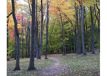 Trois Rivieres Sentiers De Randonnée Aire écologique du ruisseau Lachapelle