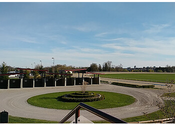 Ajax places to see Ajax Downs Racetrack