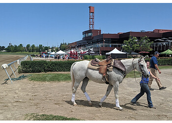 Ajax places to see Ajax Downs Racetrack