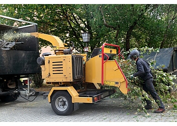 Ajax tree service Ajax Tree Service
