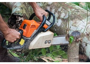 Ajax tree service Ajax Tree Service