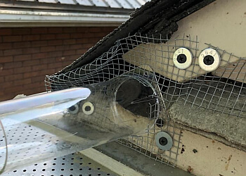 Niagara Falls pest control Akim Pest Control, Inc. Niagara Falls