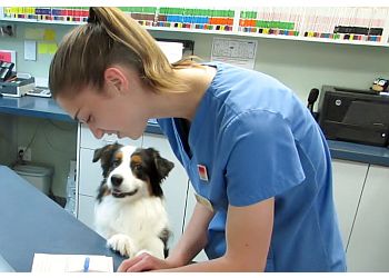 3 Best Veterinary Clinics in Regina, SK - Expert ...