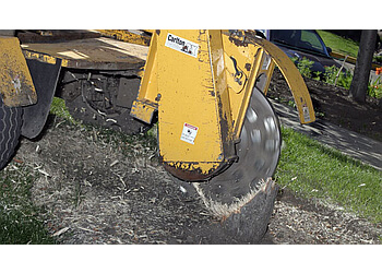 Edmonton Services d'arboriculteur Alberta Arborists