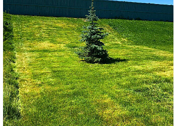 Sherwood Park lawn care service Alberta Lawn Enforcement LTD.