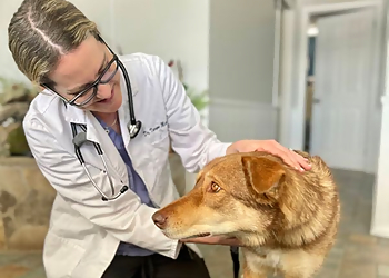 Glendale Veterinary Hospital - Caledon, ON Veterinary Clinics - Staff Image