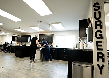 Barrie Cliniques Vétérinaires Aldergrove Animal Clinic