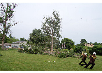 Newmarket Services d'arboriculteur Alexander Tree Care