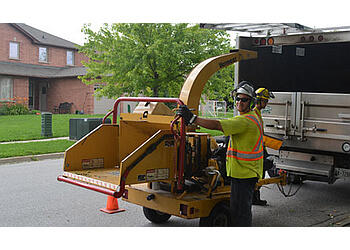 Newmarket Services d'arboriculteur Alexander Tree Care